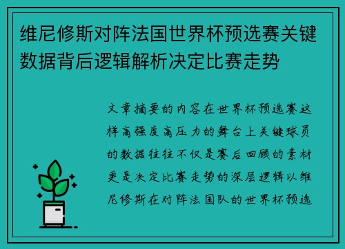 维尼修斯对阵法国世界杯预选赛关键数据背后逻辑解析决定比赛走势